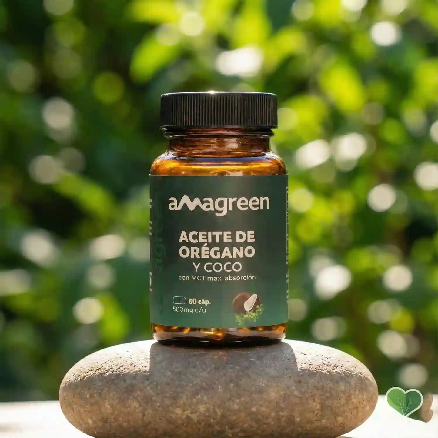 Aceite de Orégano y Coco Amagreen en cápsulas sobre piedra natural. Potente antibiótico y antifúngico natural para protocolos de SIBO, eliminación de parásitos y cándida. Máxima absorción con MCT, disponible en Amanitas.pe