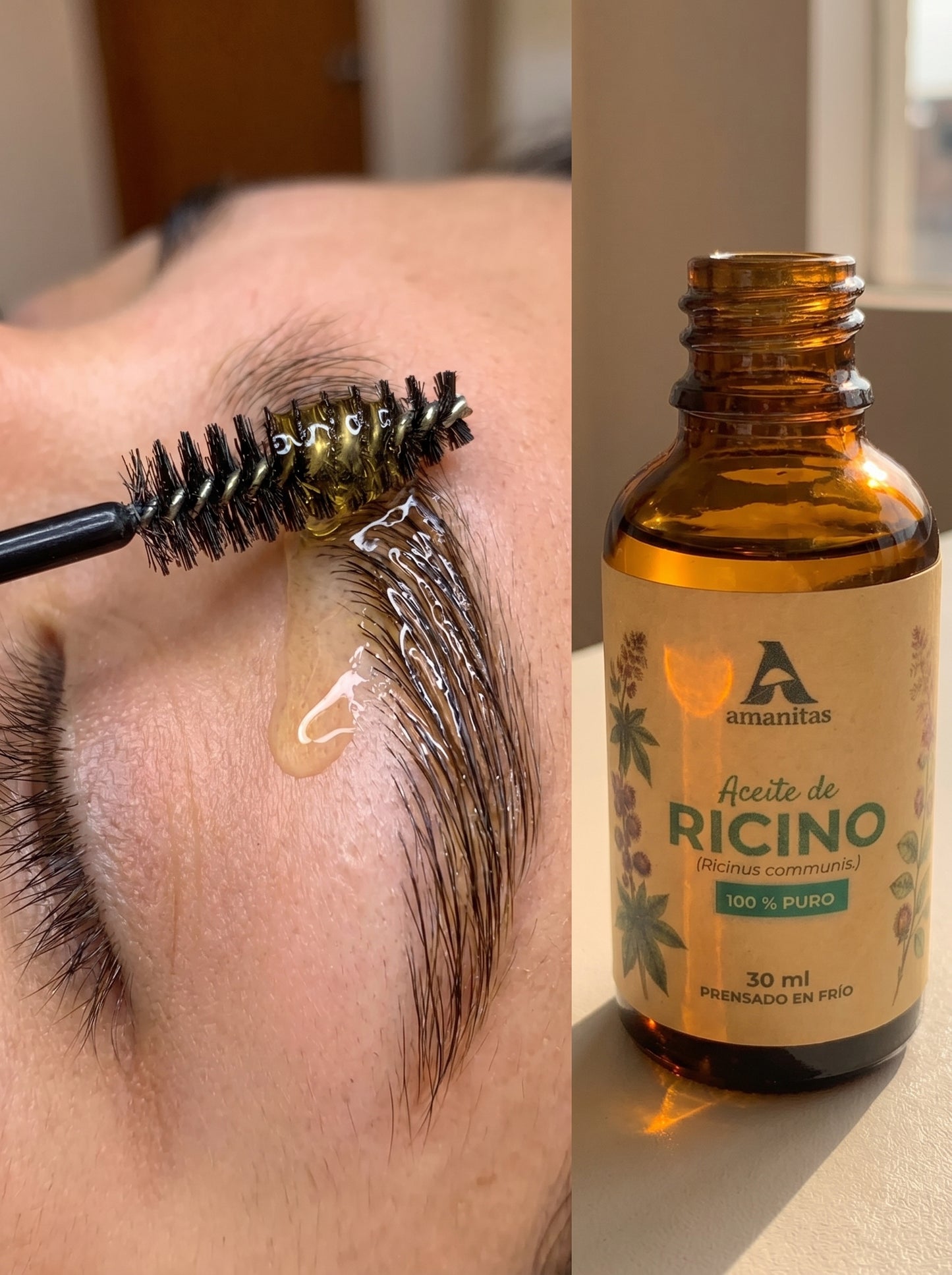 Aplicación de Aceite de Ricino Amanitas 100% puro en las cejas con un cepillo aplicador. Producto natural prensado en frío ideal para el fortalecimiento y crecimiento natural de cejas y pestañas.