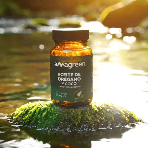 Aceite de Orégano y Coco Amagreen en cápsulas sobre musgo natural. Potente antifúngico y antibiótico natural con MCT para tratar el SIBO, eliminar la cándida y mejorar la flora intestinal. Pureza garantizada en Amanitas.pe